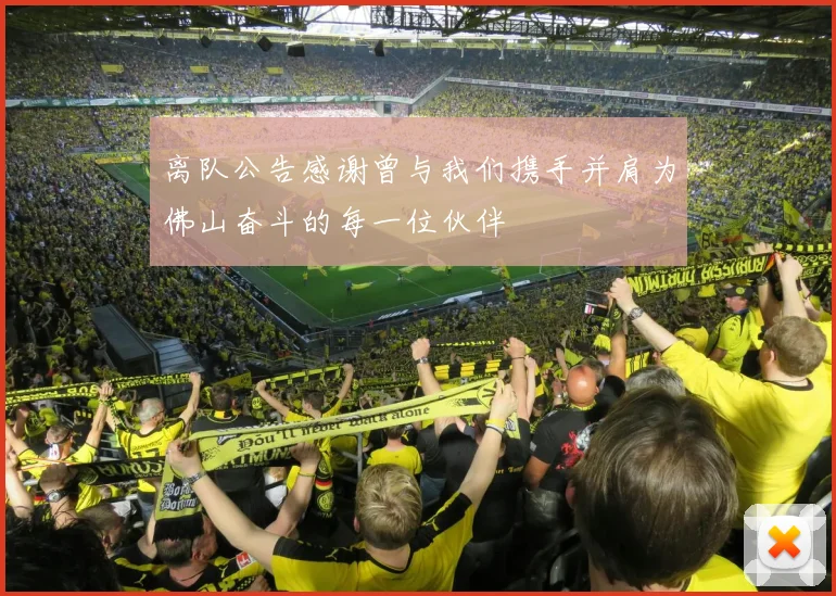 离队公告感谢曾与我们携手并肩为佛山奋斗的每一位伙伴