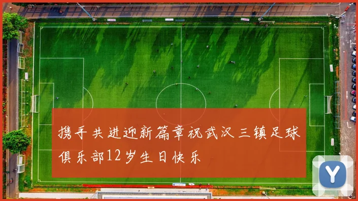 携手共进迎新篇章祝武汉三镇足球俱乐部12岁生日快乐