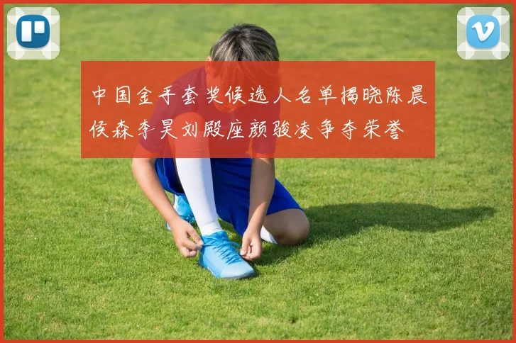 中国金手套奖候选人名单揭晓陈晨侯森李昊刘殿座颜骏凌争夺荣誉